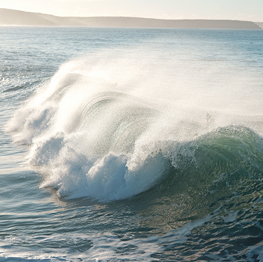 A big wave in the sea